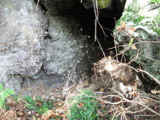 rderia-18-11-2012 12-03-50